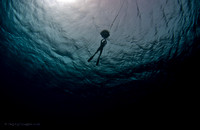 Free diving
